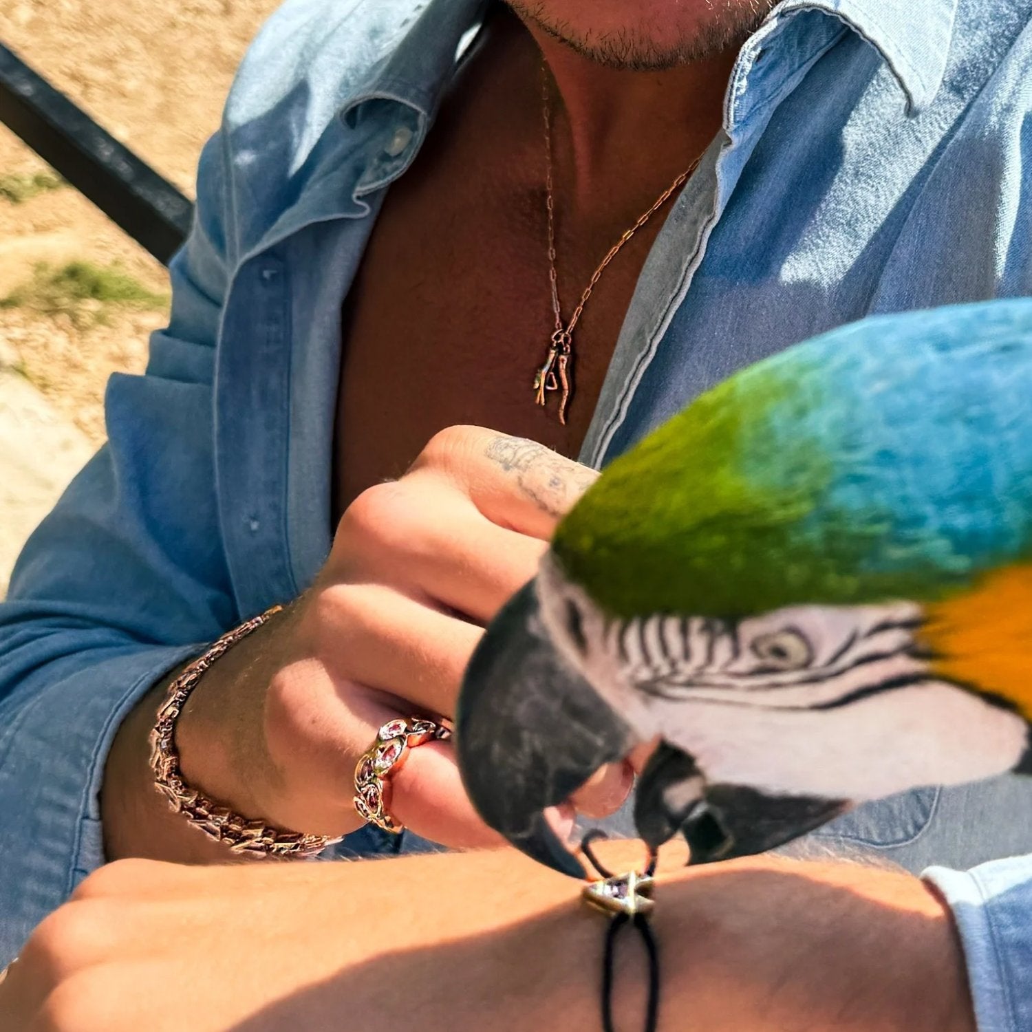 La Volpe